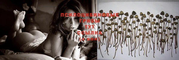 MESCALINE Бородино