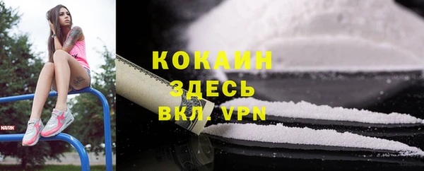 MESCALINE Бородино