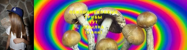 прущая мука Кирсанов